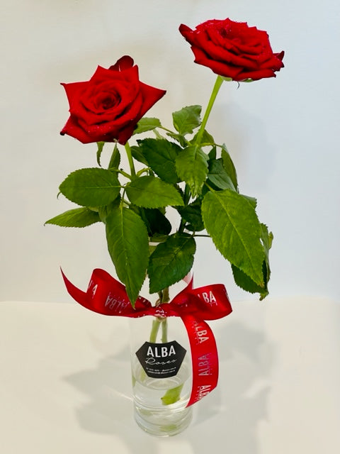 Red Roses