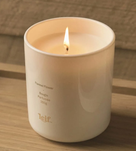 candle by Leif