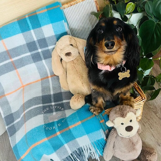 The Little Coorie Co Wool Blankets