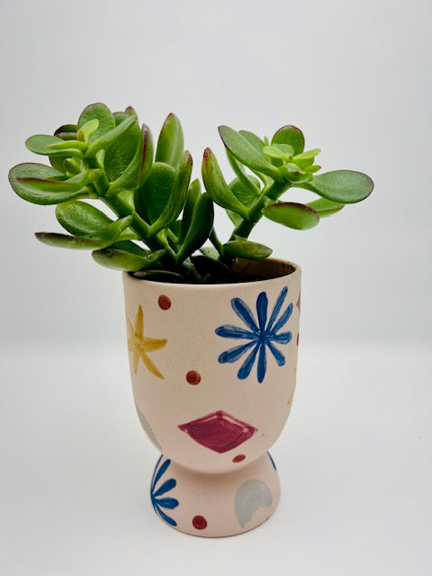 Mini potted Succulent